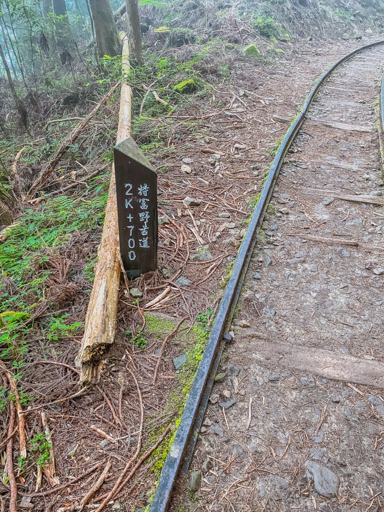 20200614-[嘉義] 自忠山，東水山。_1635894