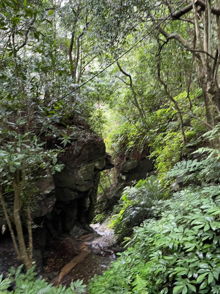 炮子崙步道_2012921
