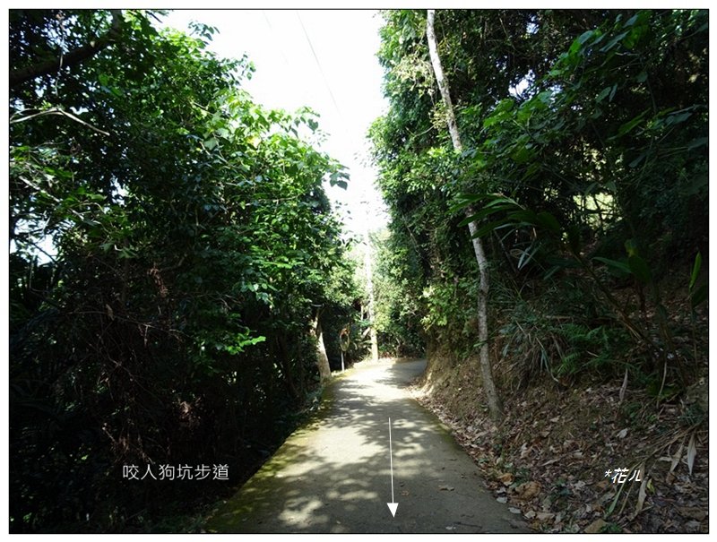 咬人狗坑登山步道(三汀山)_2125986