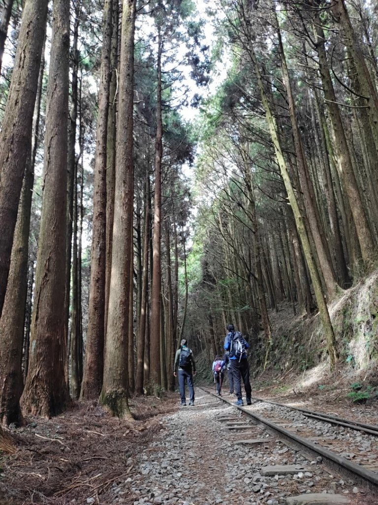 大塔山  “肖”  到眠月線 20211122_1528175