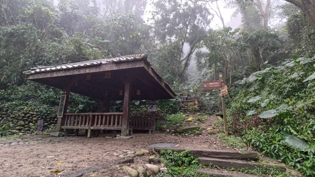 彰化社頭鄉十八彎古道連走中央嶺造林步道、橫山觀日步道、山湖步道_2713294