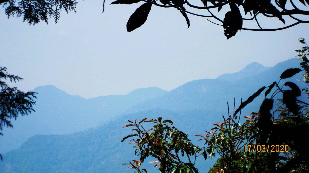 八仙山+佳保台山 ~ 挑戰雄關 辛辣凝香_918609