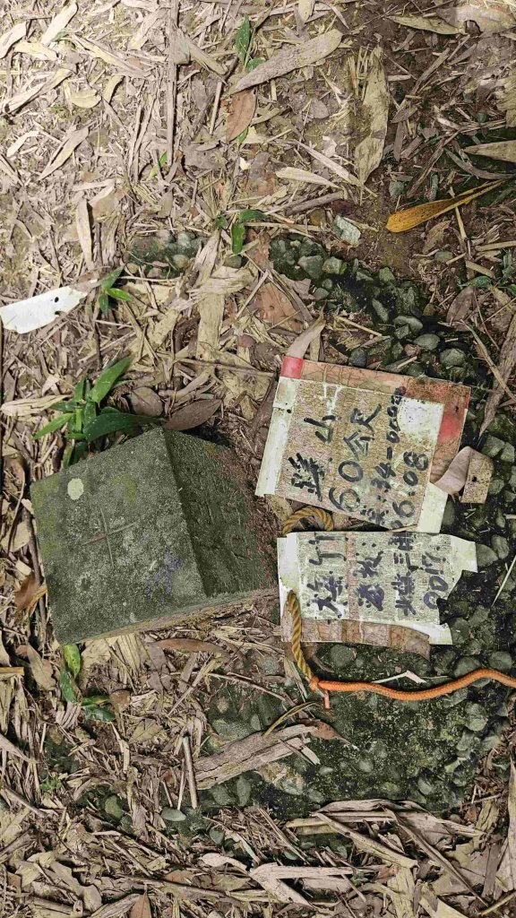 20250601梅竹蹊山-480峰-苕谷坑山封面圖