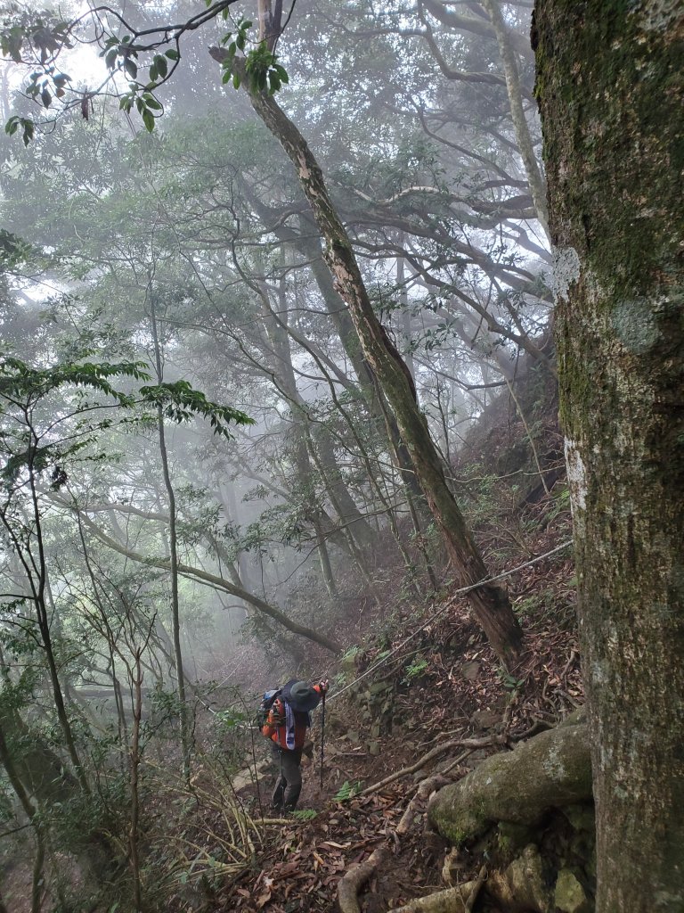 加里山大坪支線_1454493