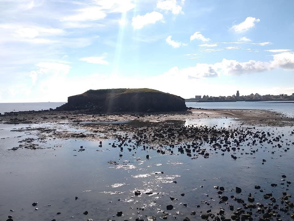 雁情嶼（本島）_2879602