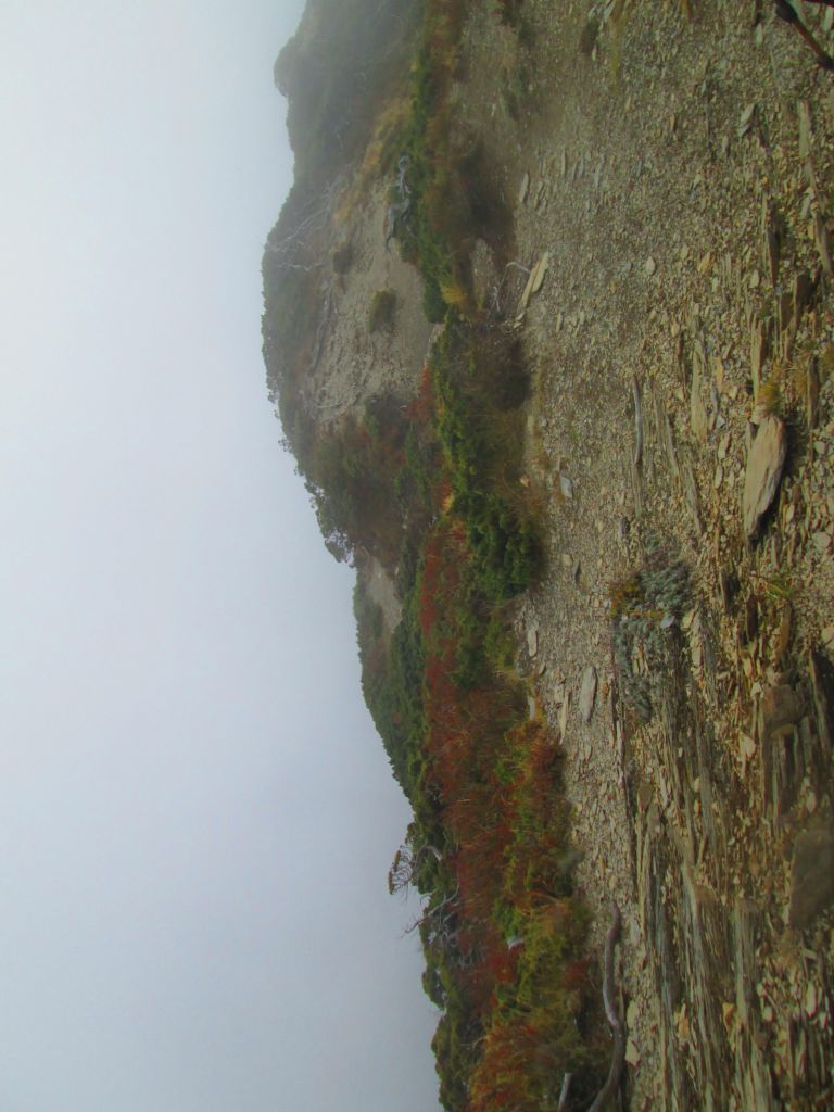 北一段 南湖前四峰_378460