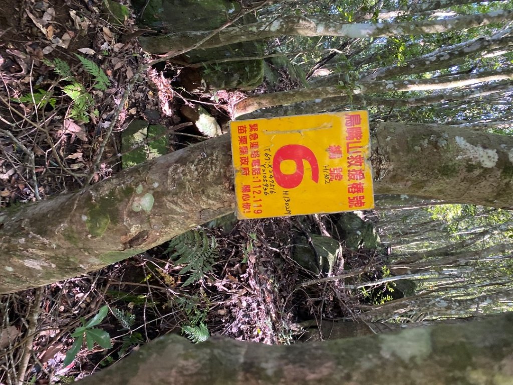 苗栗泰安-水雲三星-上島山_2612763