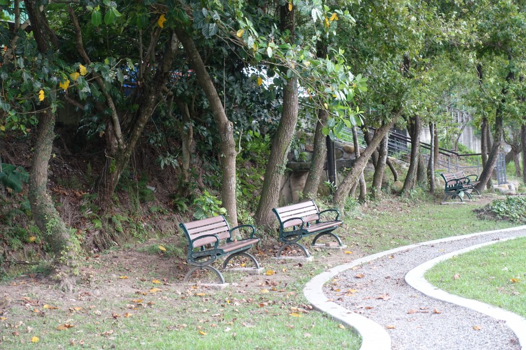 永春陂濕地公園_1105545