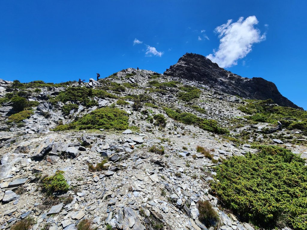 中央尖山西稜(非傳統路徑)_2244178