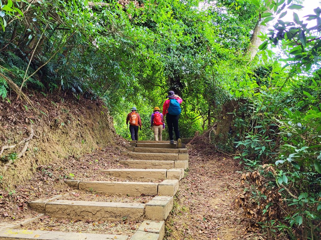 【樟之細路】獅猿縱走_1902111