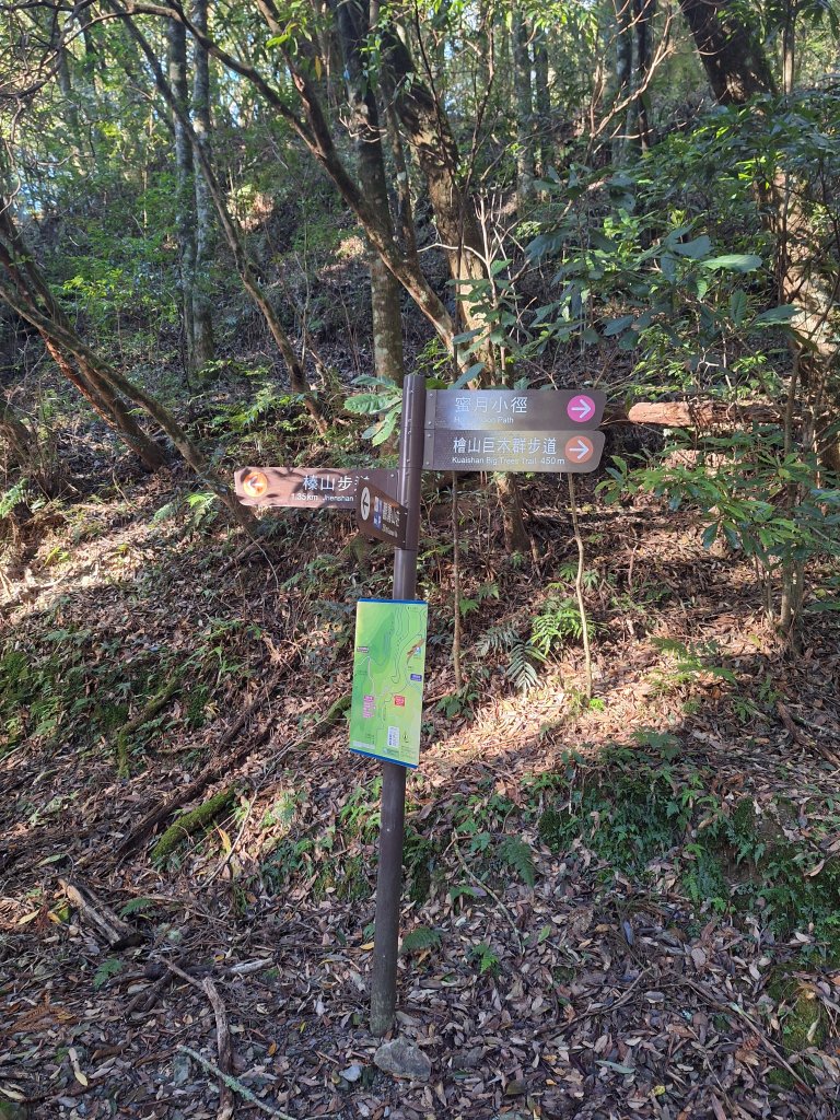 觀霧之榛山O型20241123_2653880