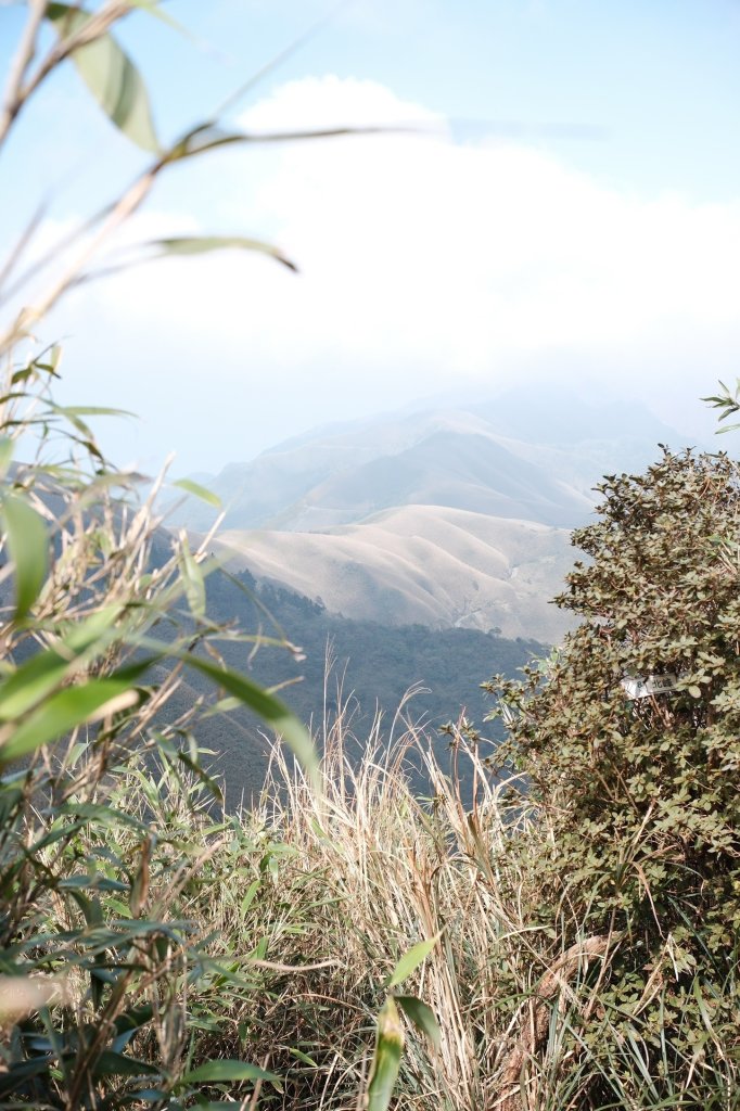 20250228小觀音山小小y_2755472