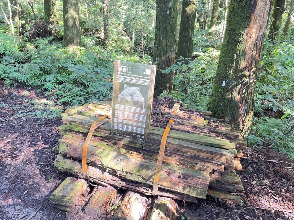 東眼山 自導式步道 三角點_2975866