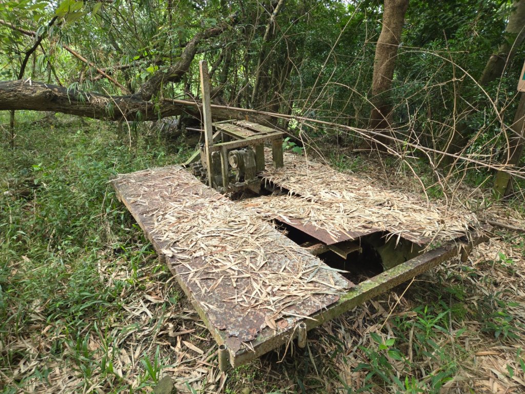 美濃雙溪樹木園（九芎林山）封面圖