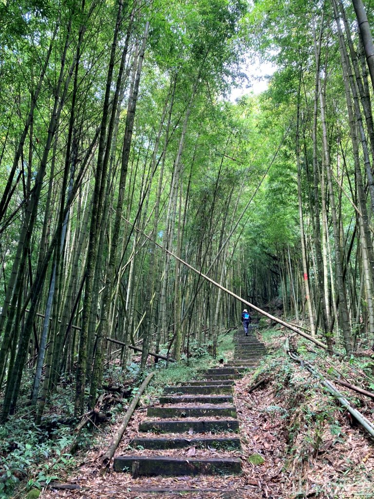 2023-10-29 頂湖直上大凍山_2330904