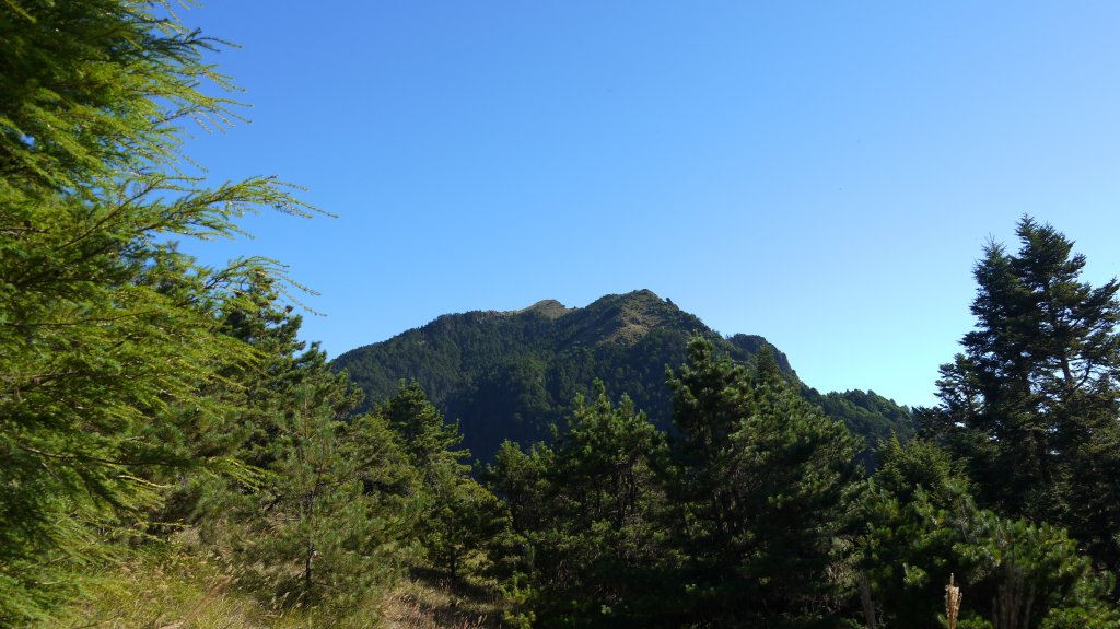 池有山單攻登山健行趣(百岳52)_1515230