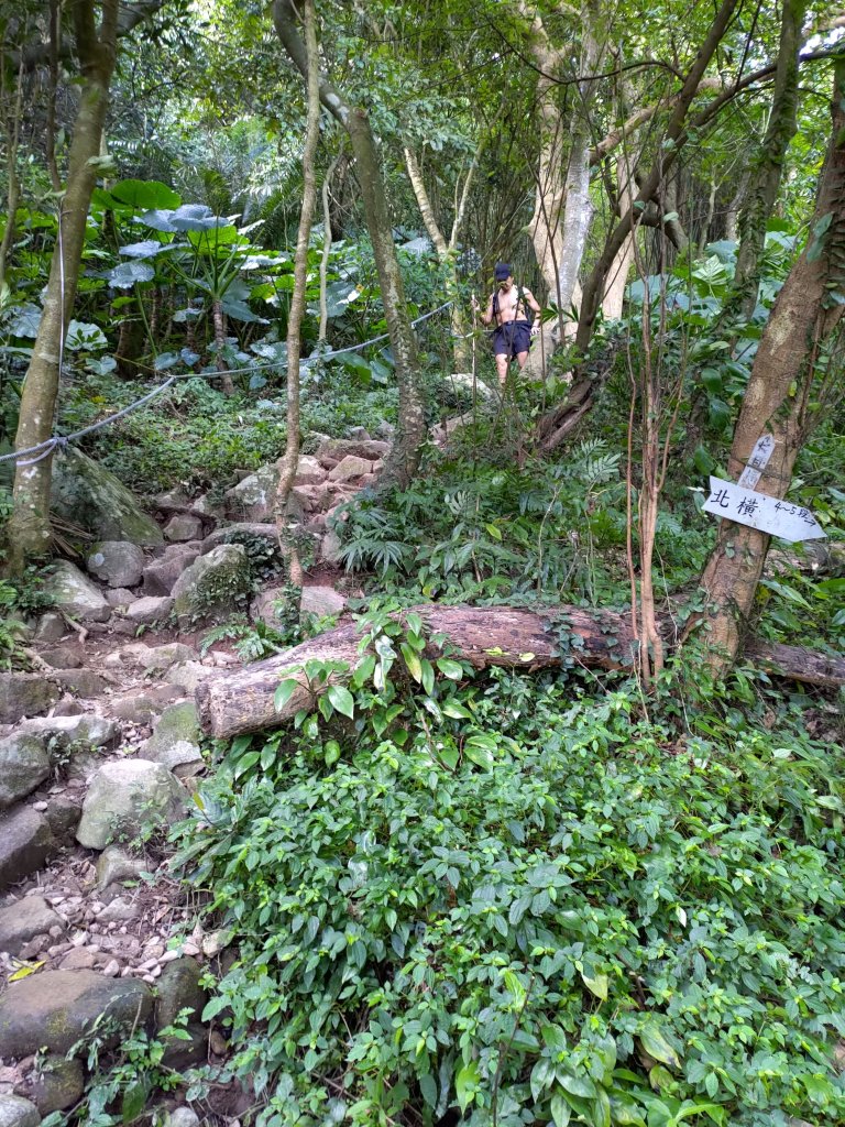 尖山步道-北橫古道-硬漢嶺步道_794344