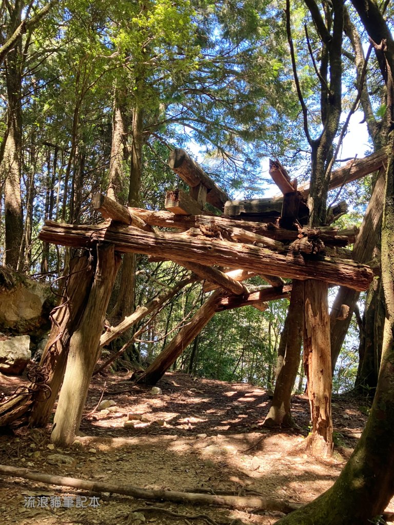 【谷關七雄】八仙山主峰步道_2894875