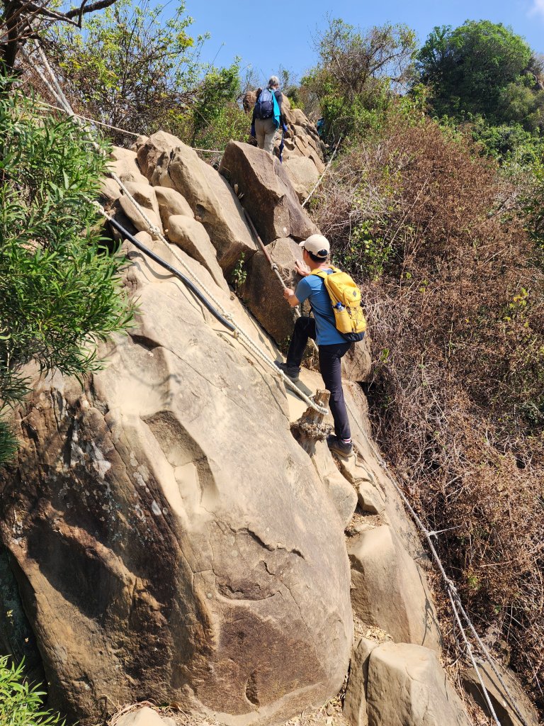 小百岳No.72⛰旗尾山封面圖