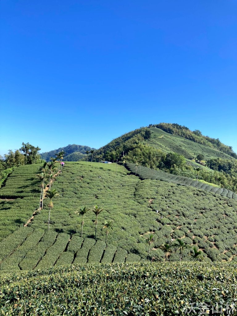 2024-10-19 雲嘉五連峰_2637368