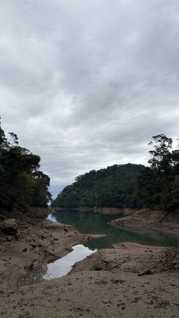 與猛禽共舞_3008381