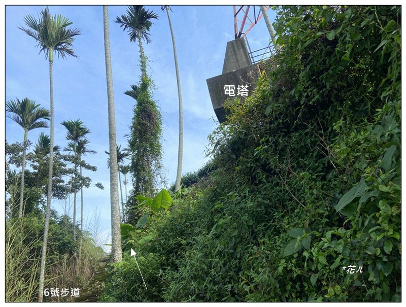 樟湖山 右上左下 (雲林、古坑)_2846311