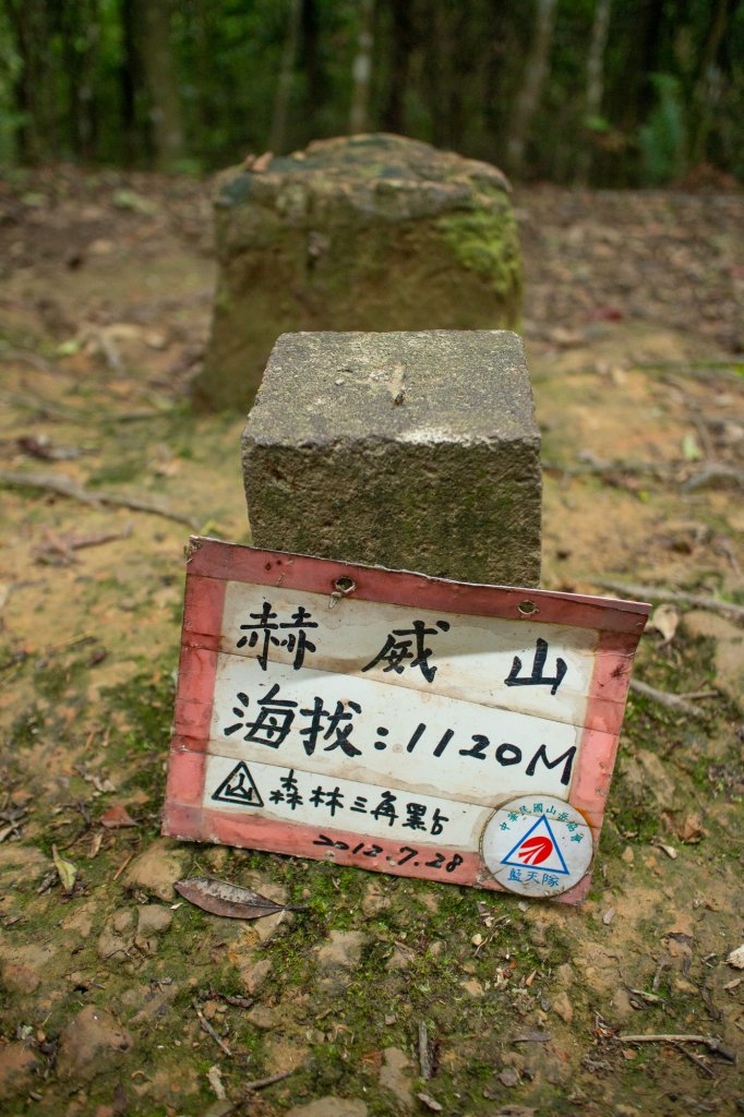 赫威神木群步道_1876471