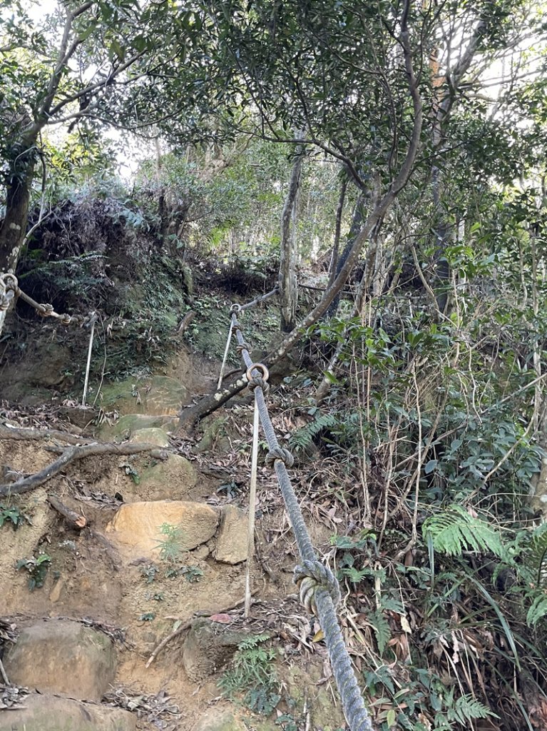 大湖翠湖金龍湖_2711908