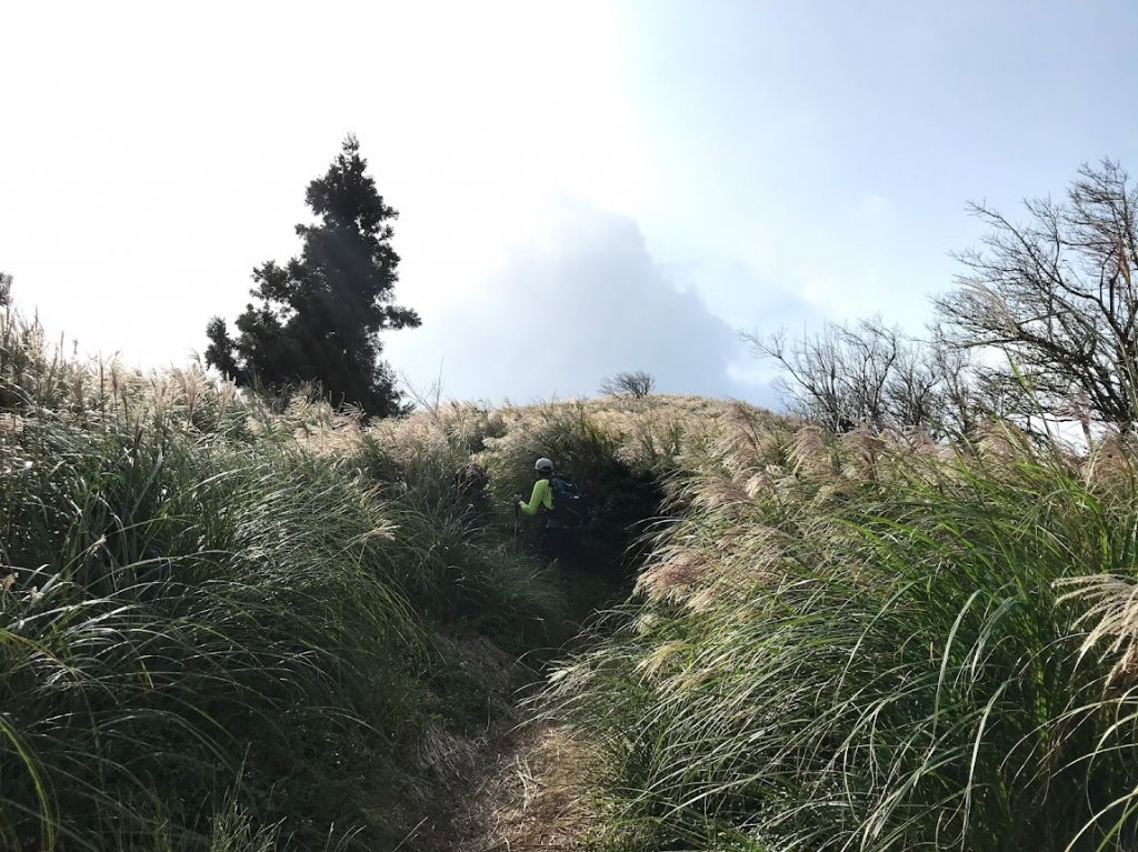 陽明山東西大縱走20191012_1968275