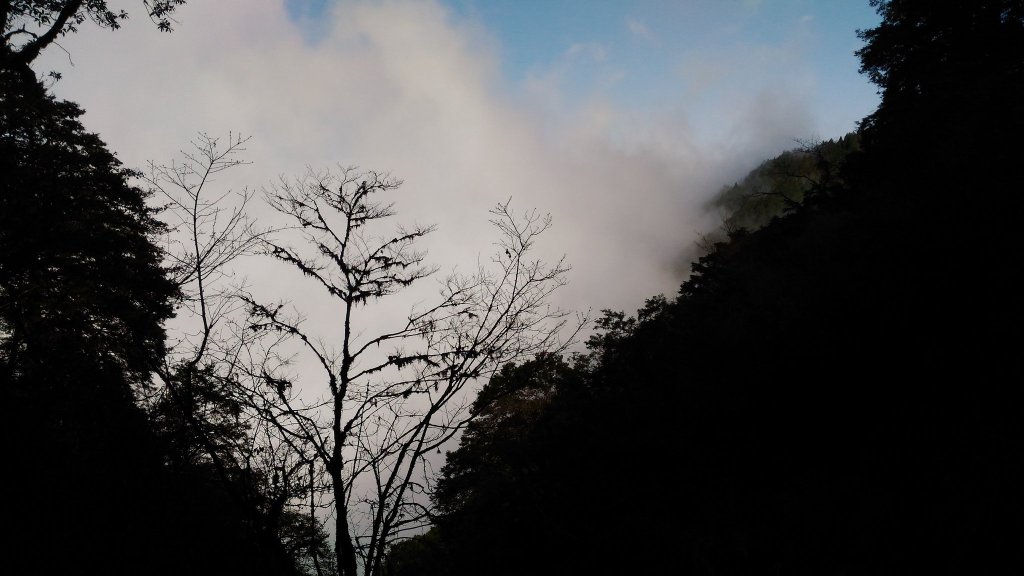 20190124太平山見晴懷古步道_512498