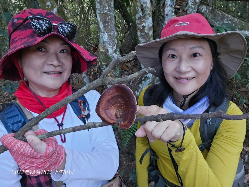 如夢幻般接觸日月潭最高峰水社大山_2386507