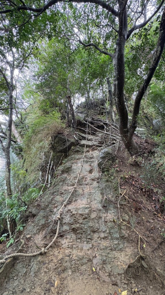 迎新（2026元旦_2975552