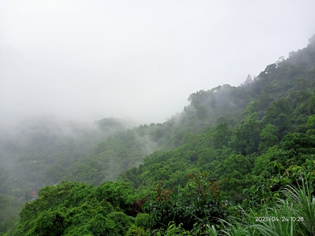 【臺北大縱走 6】象山公園→妙高台→拇指山頂峰登山口→南港山南峰→南港山→九五峰→中華科技大學_2126893