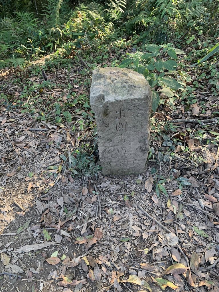 苗栗關刀山（小百岳）_2039919