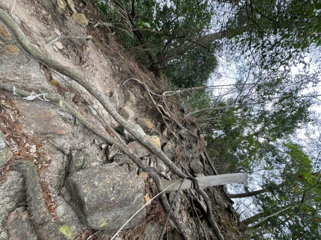 谷關七雄-唐麻丹山_2453427