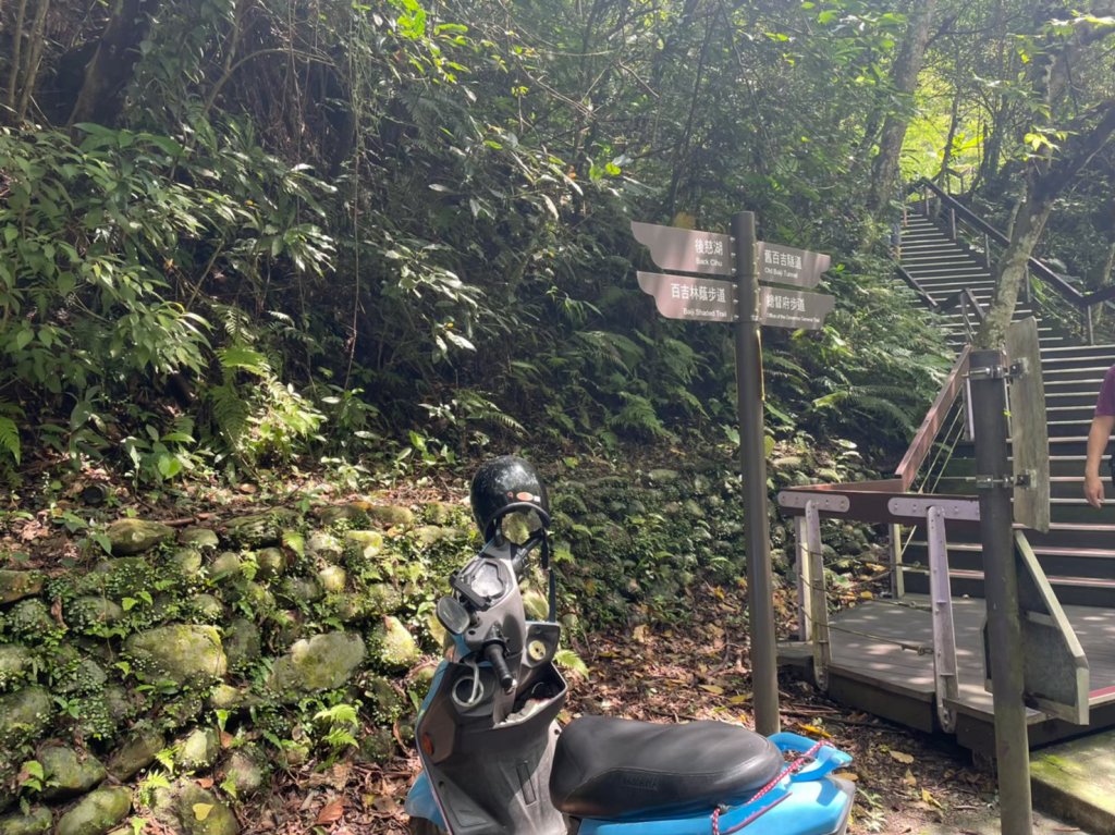 桃園｜大溪 百吉林蔭步道_1487865