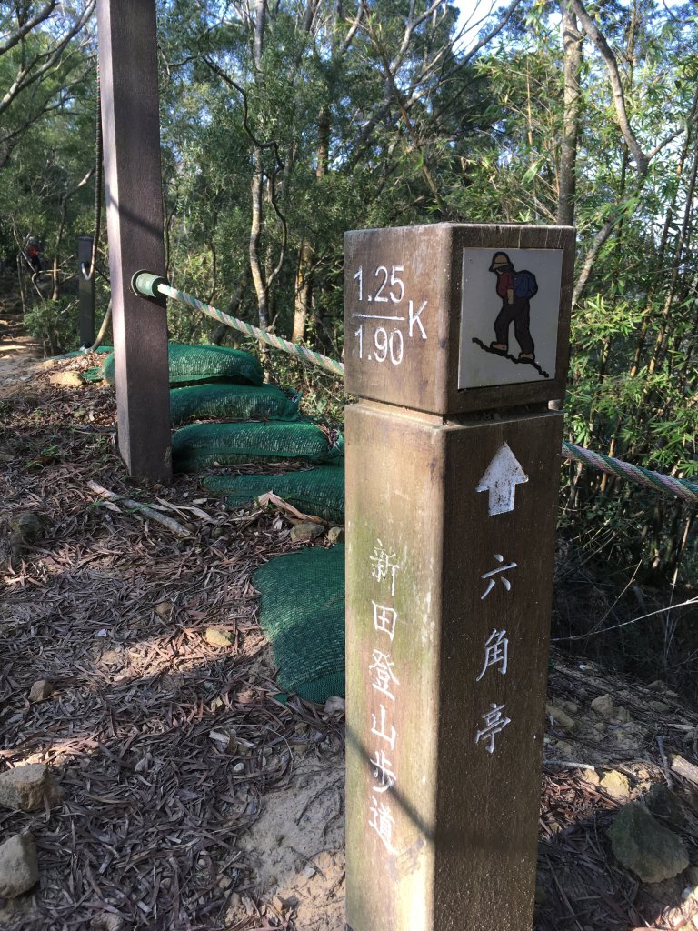 20220205-聚興山_1601568