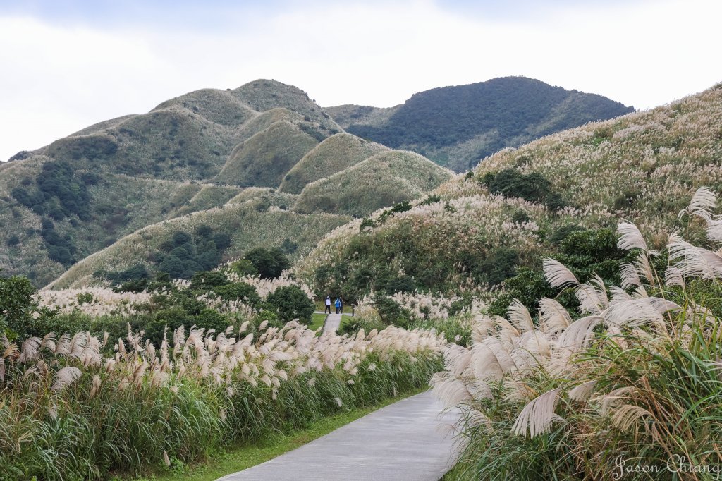 [新北]貂山古道_1539078