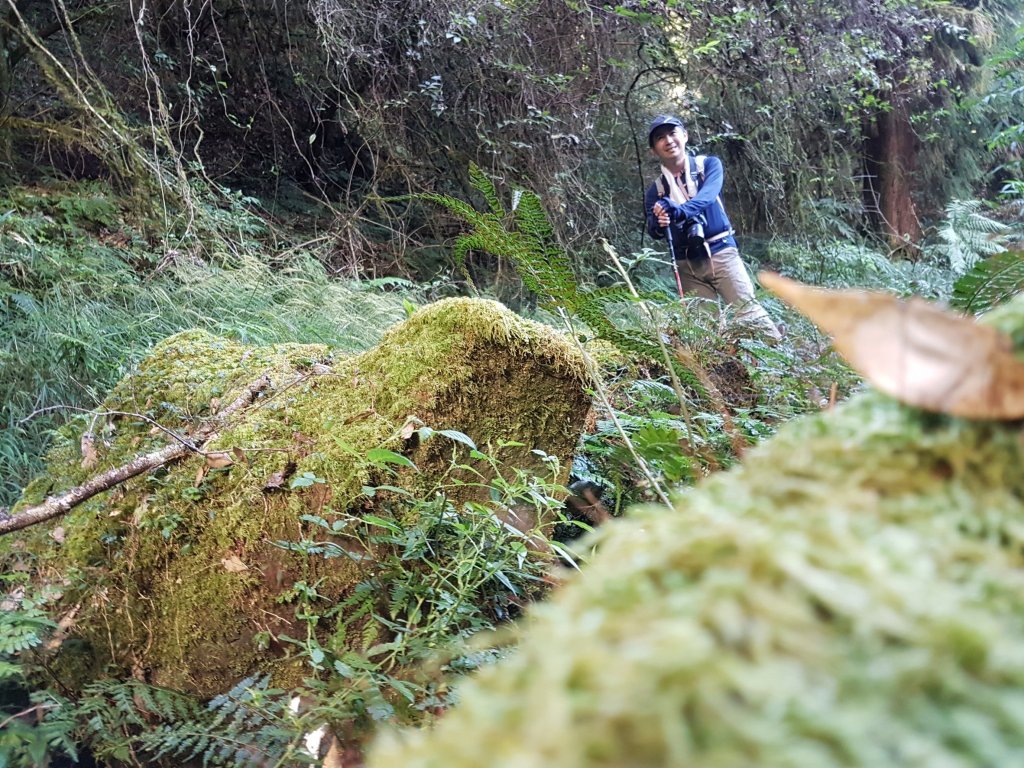 水樣森林 第一次在山裡過夜_658973