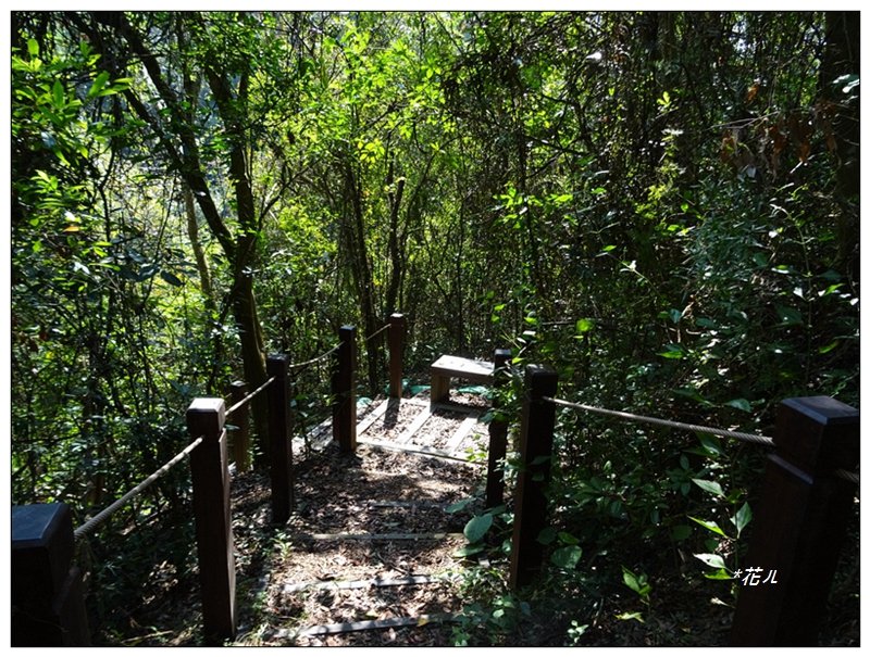 蝙蝠洞延伸步道_1636445