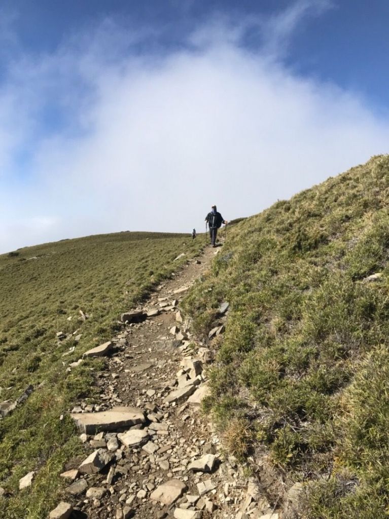 嘉明湖、向陽山、三叉山_335990