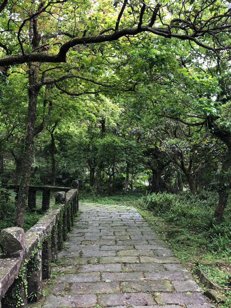 2021.03.13草嶺古道_1493332