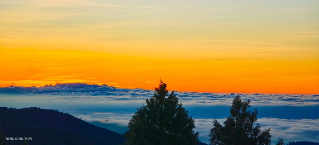 #太平山 #望洋山 #觀雲步道 #日出 #雲海 11/8_2931210