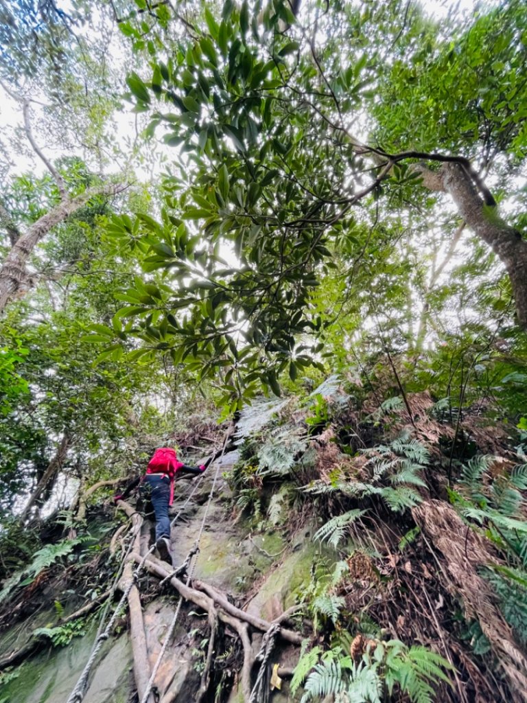 面鐵（桃園金山面山-打鐵寮）縱走_1619657