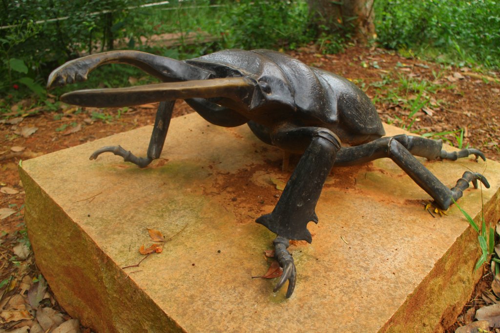 羊(咩咩)稠森林步道 20201018_1145536