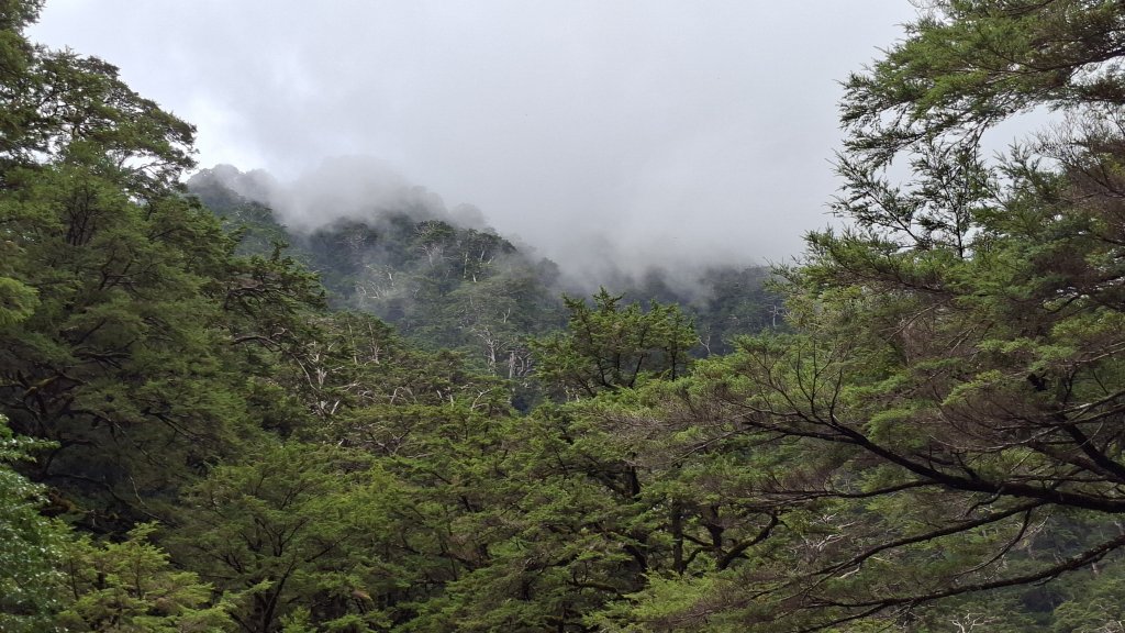 20251026合歡溪步道_2926498