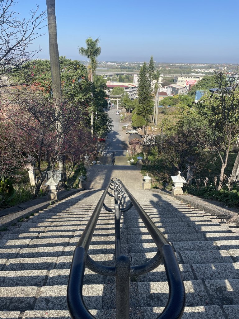 龍過脈森林步道封面圖