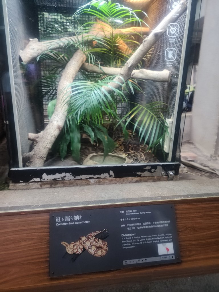 台北動物園_2663971