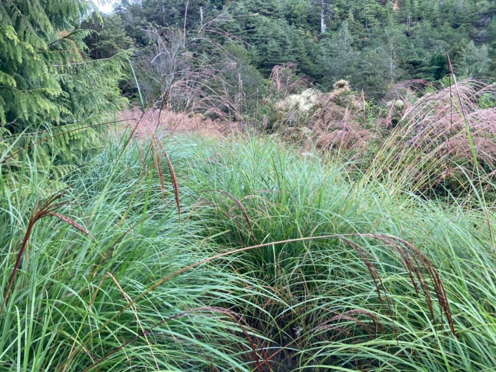 羅馬縱走_1489011