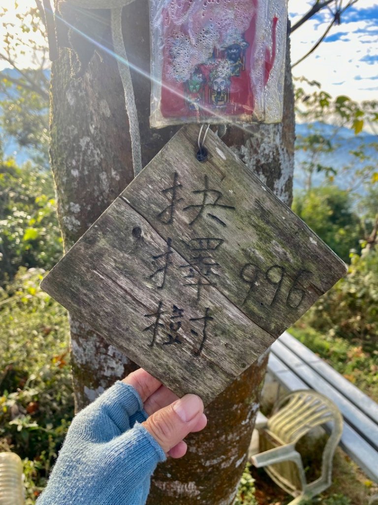 阿蓮五虎兄弟之瑪家三兄妹來回縱走_2976129